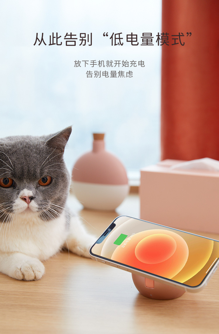 详情页初稿_04.jpg
