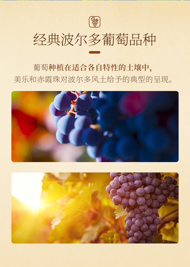 详情-13.jpg
