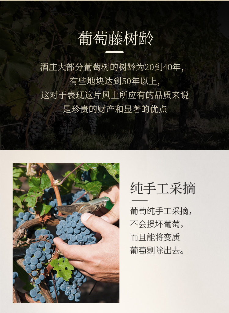 详情-14.jpg