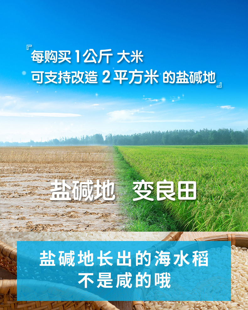 海水稻-精选单层（21_01 (2).jpg
