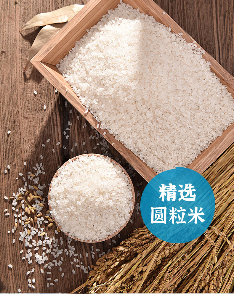 海水稻-精选单层（21_01 (6).jpg