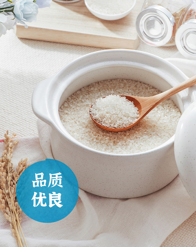海水稻-精选单层（21_01 (7).jpg
