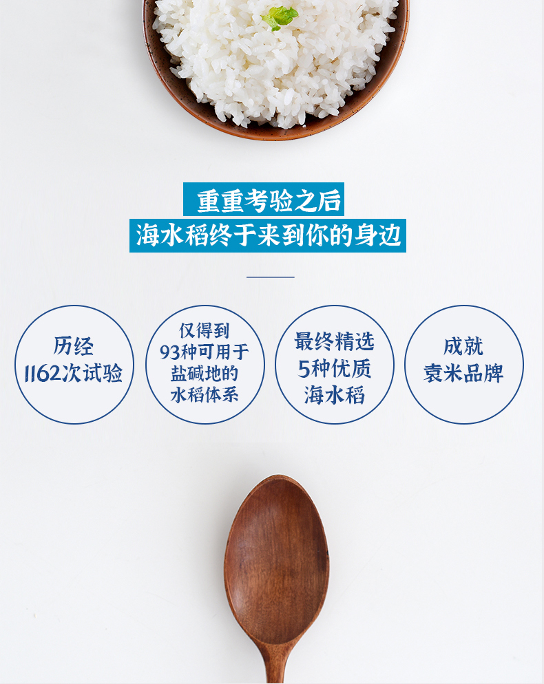 海水稻-精选单层（21_01 (9).jpg