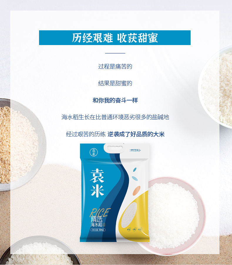海水稻-精选单层（21_01 (10).jpg