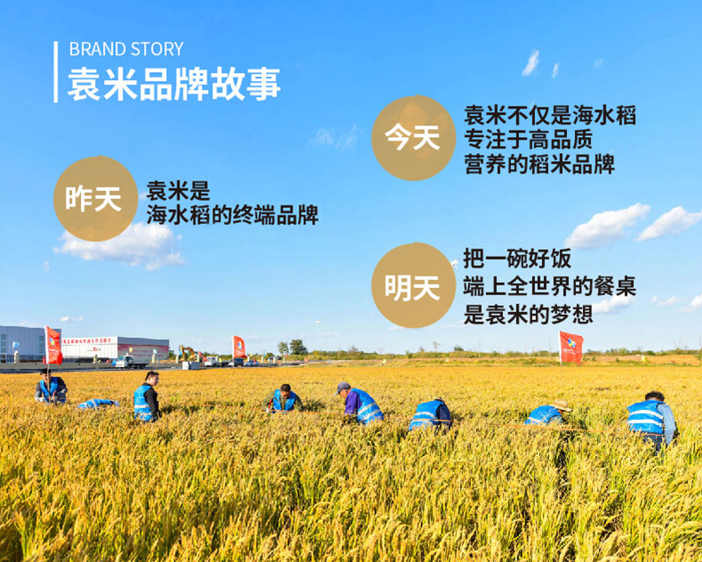 海水稻-精选单层（21_01 (17).jpg