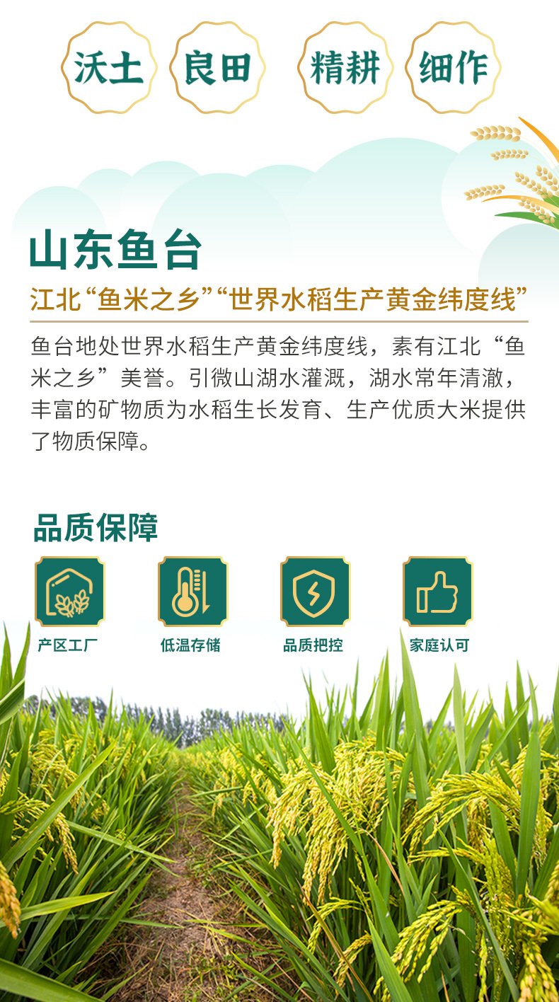 稻禾香2_03.jpg