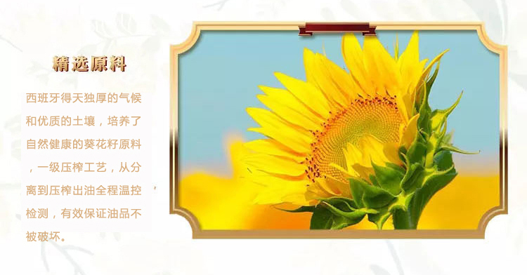 压榨葵花籽2L文描_04.jpg