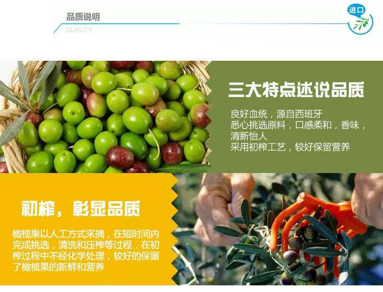 瑞驰欧新500ML_03.jpg