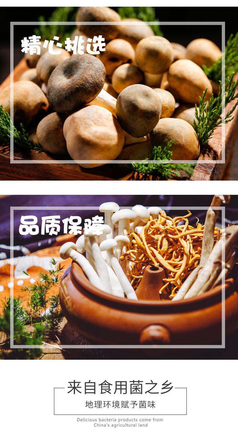寻味山肴_03.jpg