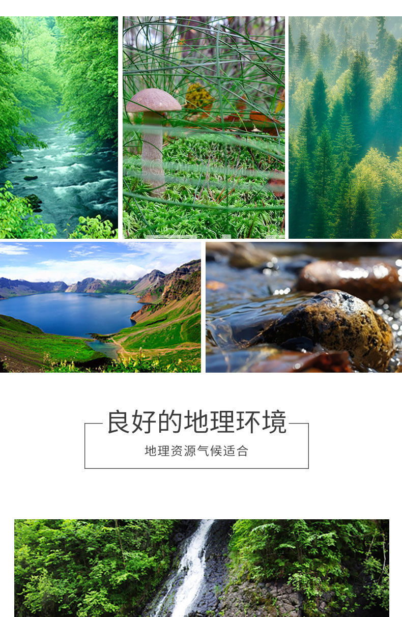 寻味山肴_04.jpg