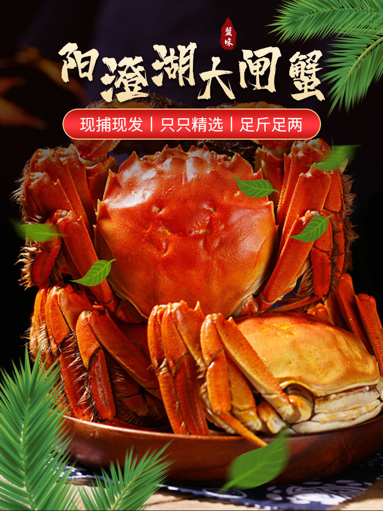 阳澄湖大闸蟹详情_01.jpg