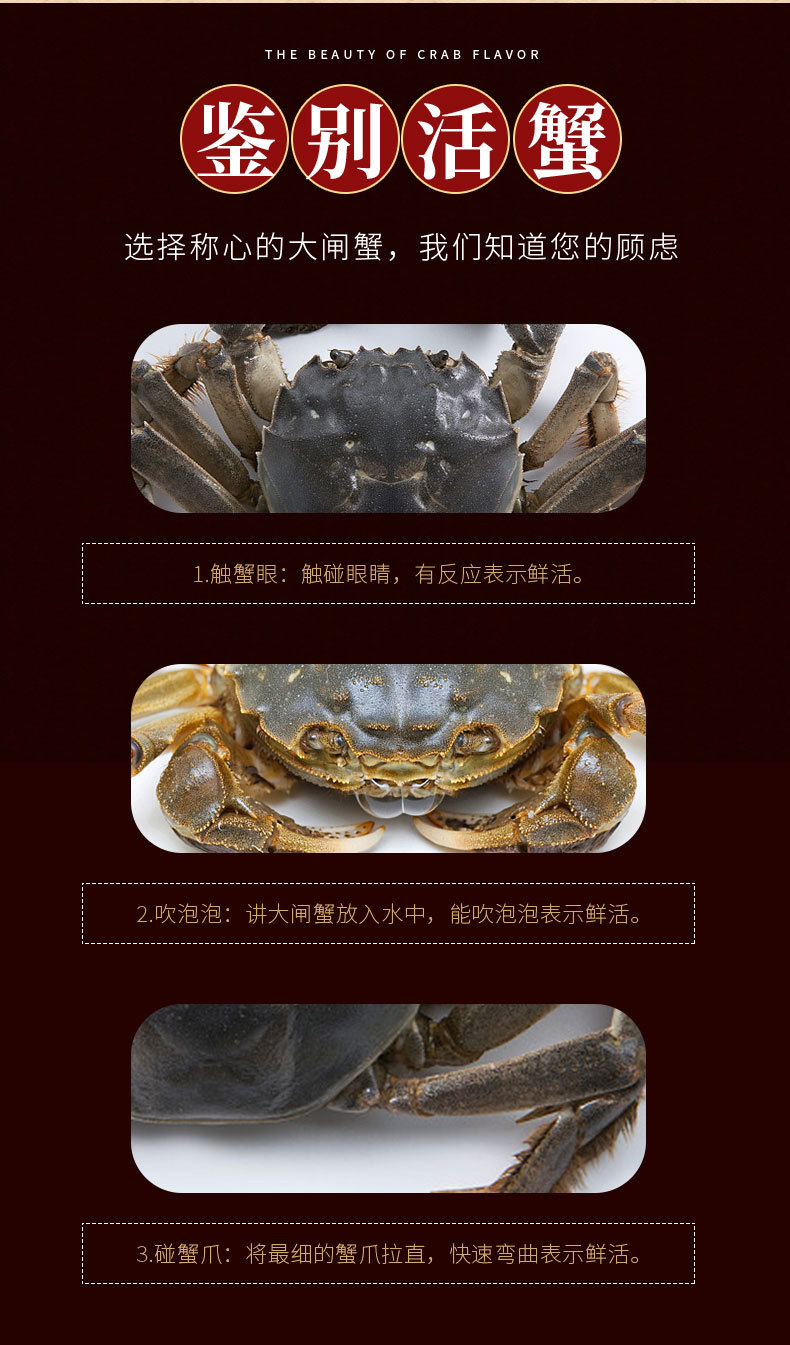 阳澄湖大闸蟹详情_09.jpg