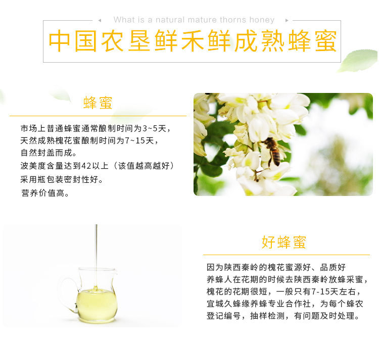 蜂蜜单瓶装_04.jpg