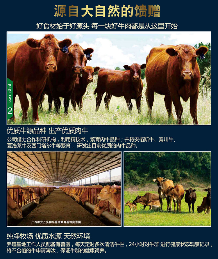 牛肉_11.jpg