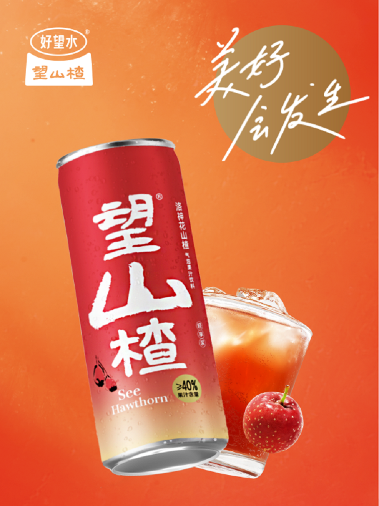山楂_画板 1 副本 8_副本.png