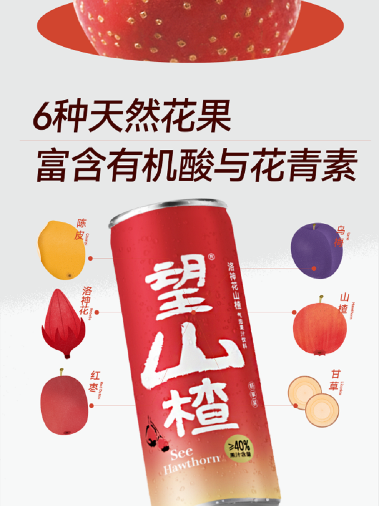 山楂_画板 1 副本 11_副本.png