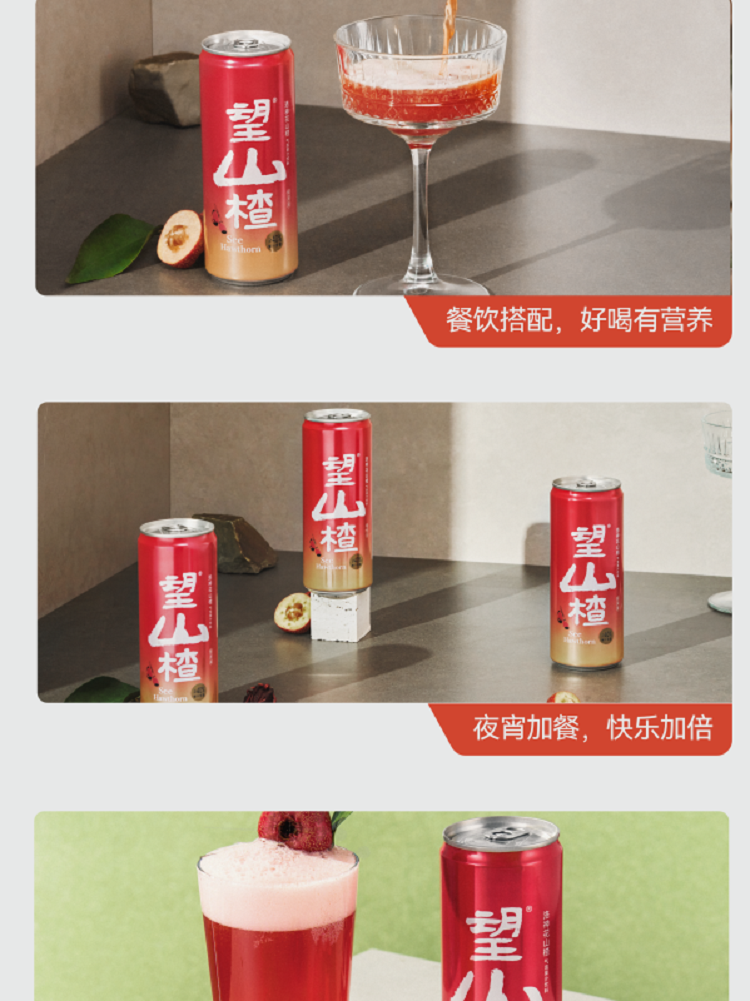山楂_画板 1 副本 14_副本.png