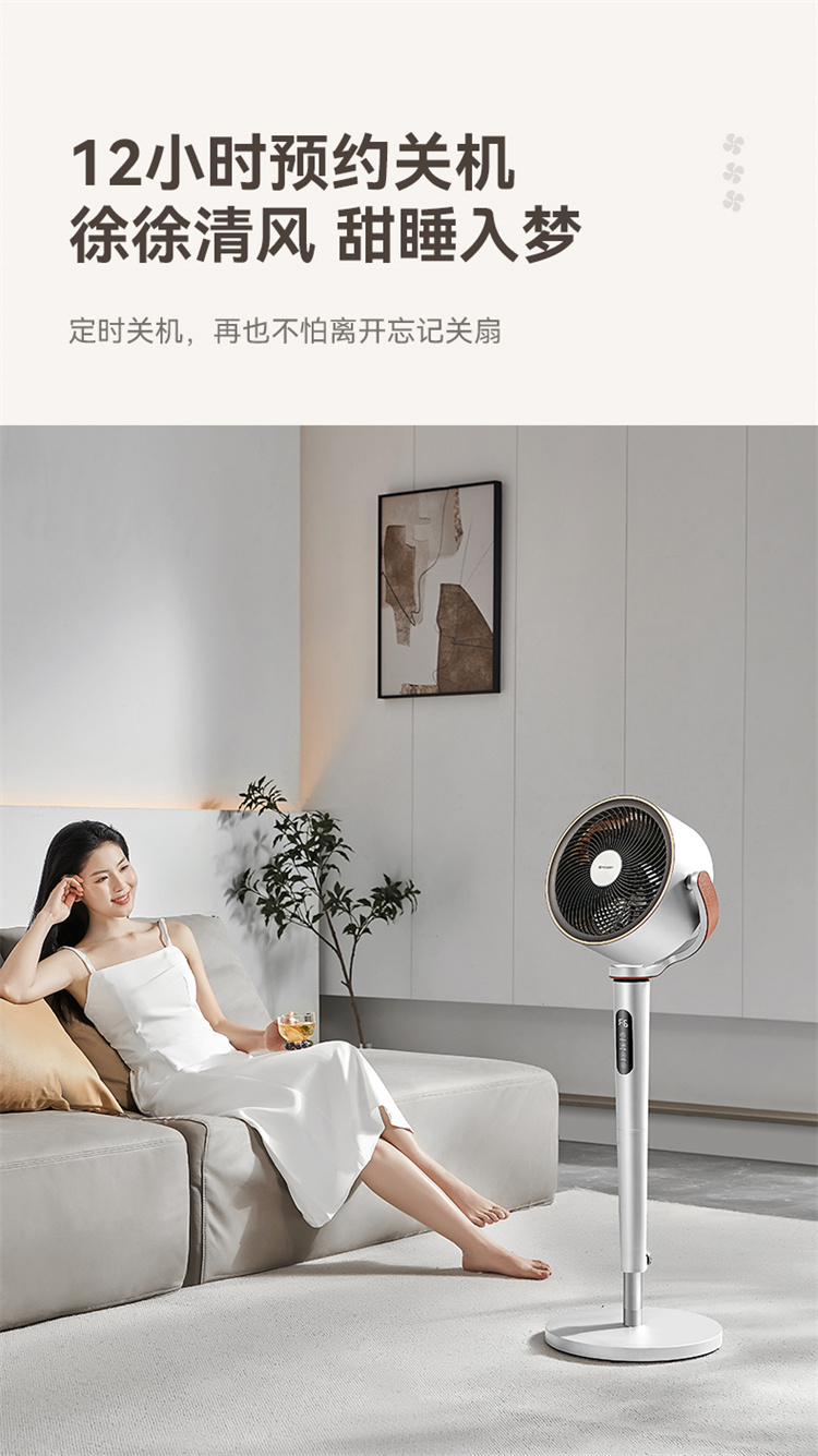 浩远中粤夏普风扇PJ-CD411A(0323)_13.jpg