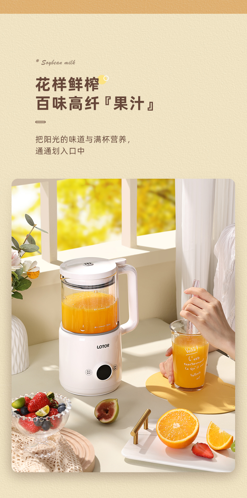 DJJ-BL-01豆浆机_09.jpg