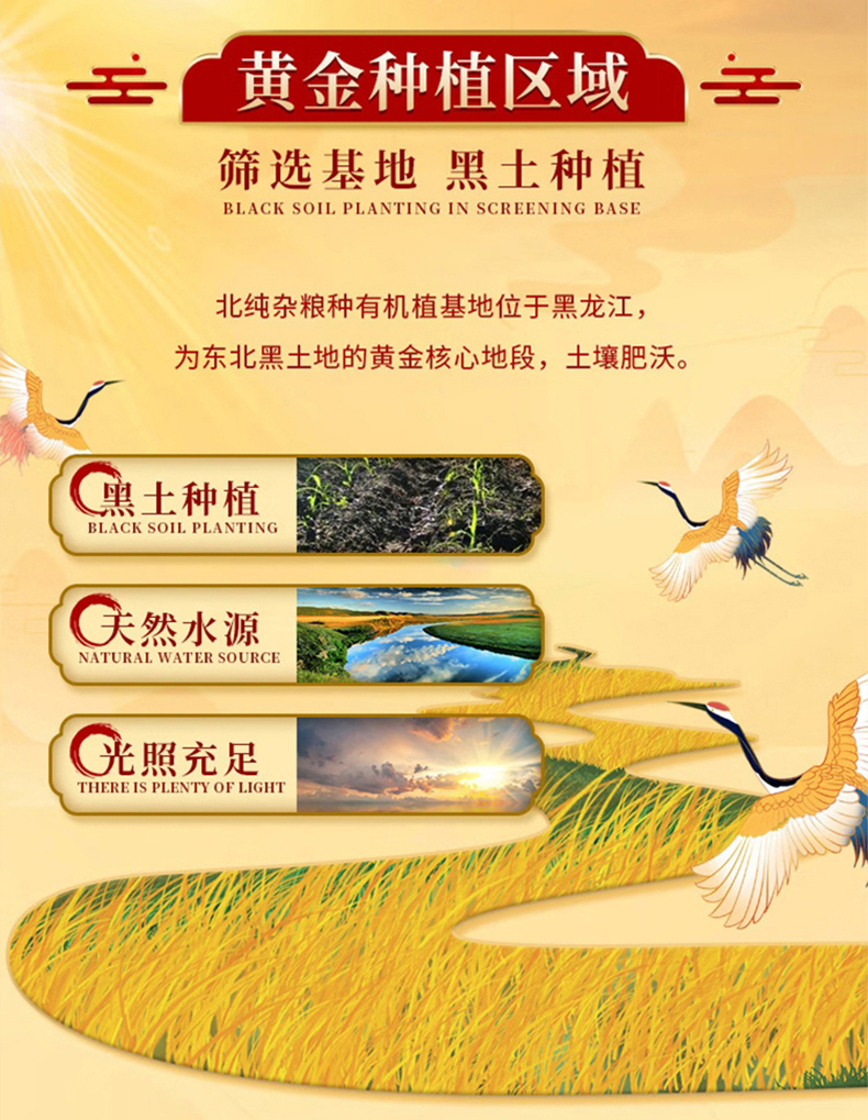 详情_15.jpg