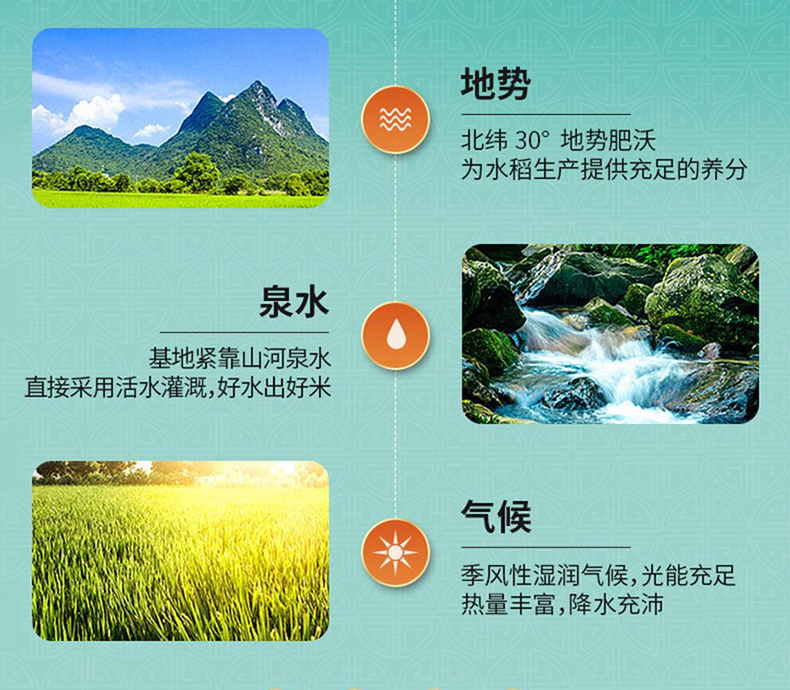 详情页_10.jpg