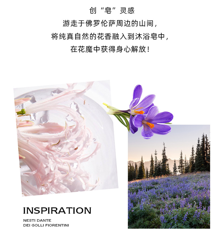 山麓花韵 (3).jpg