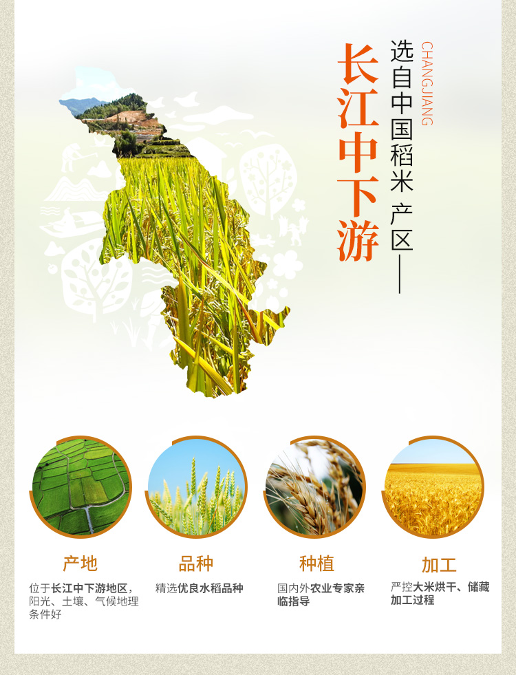 小丝苗5kg_03.jpg