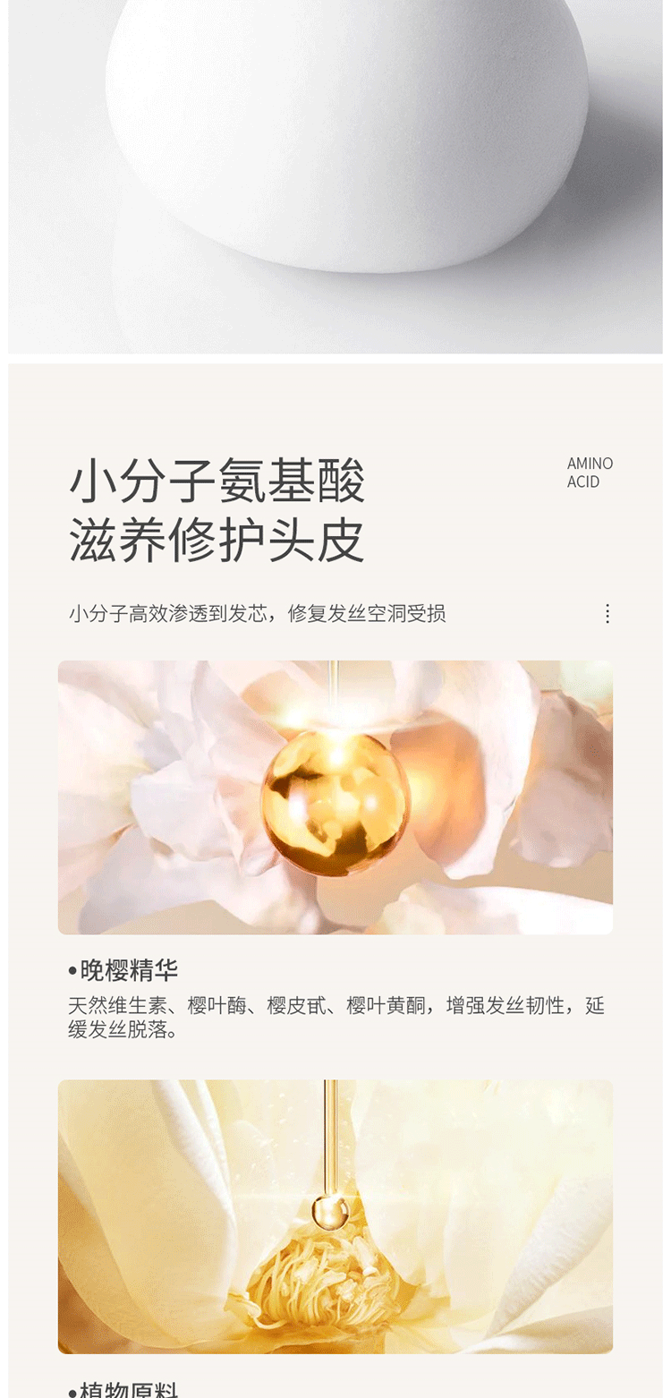 晚樱洗发水_03.png