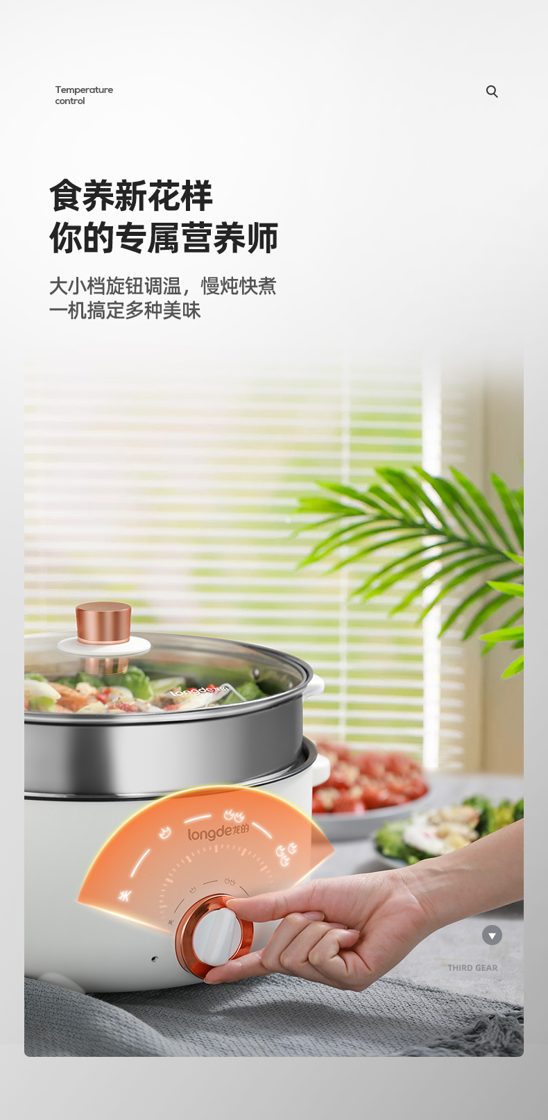 多功能电火锅LD-HG413G_06.jpg