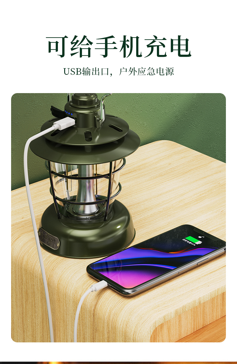 何大屋-逸趣露营灯-HDW1903_07.jpg