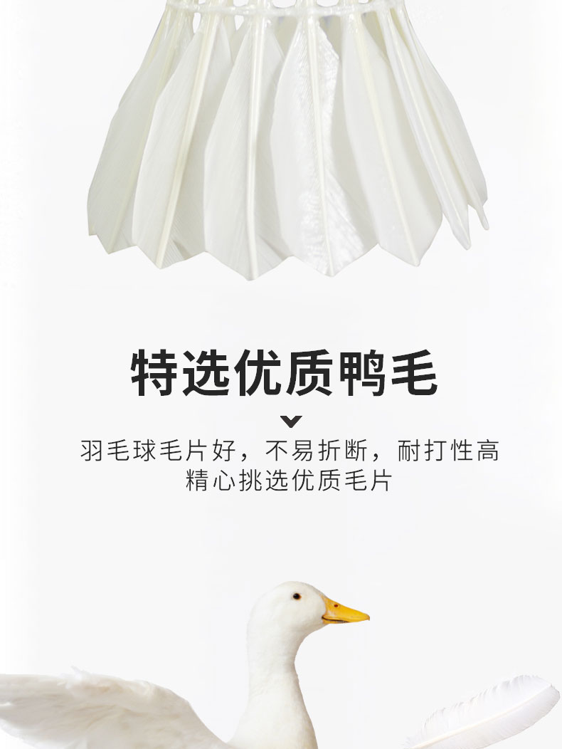 S500-12只装-详情页_04.jpg