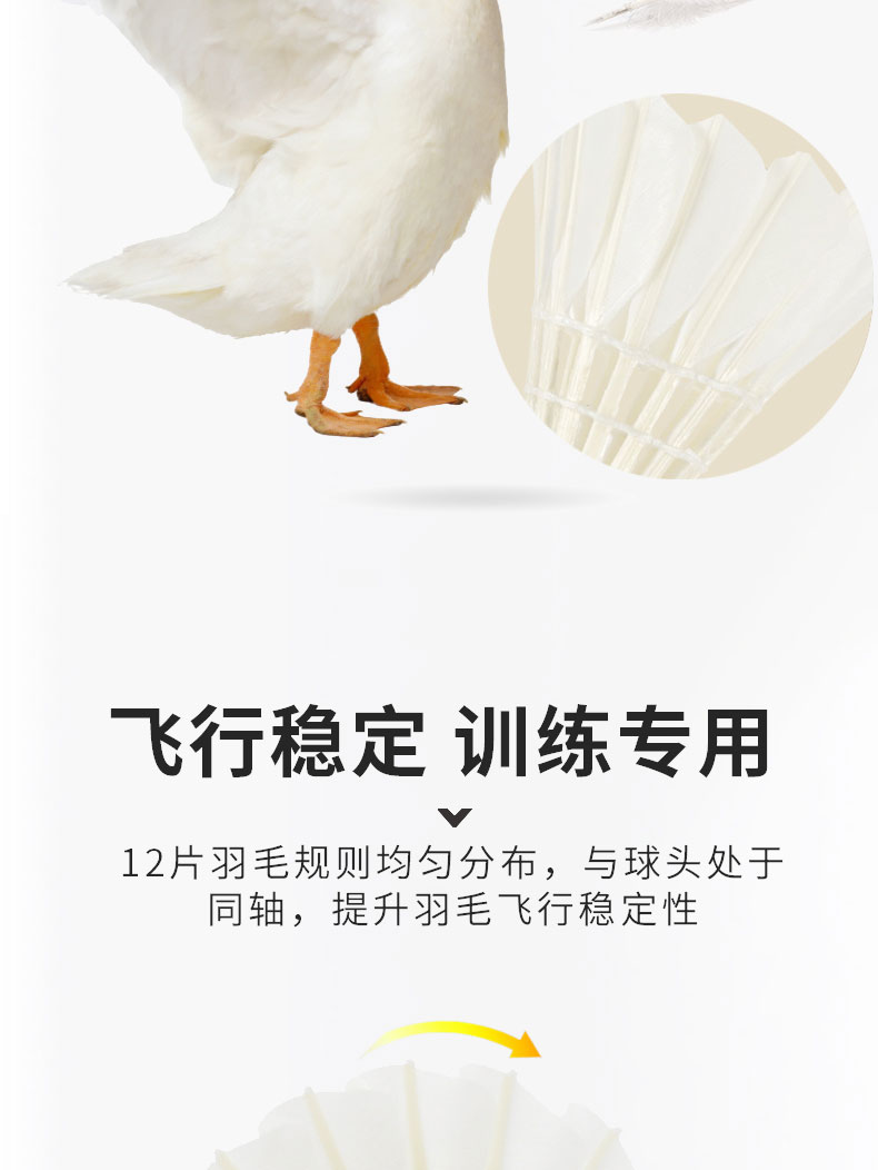 S500-12只装-详情页_05.jpg