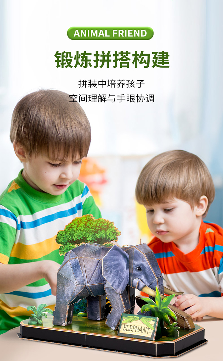动物伙伴_04.jpg