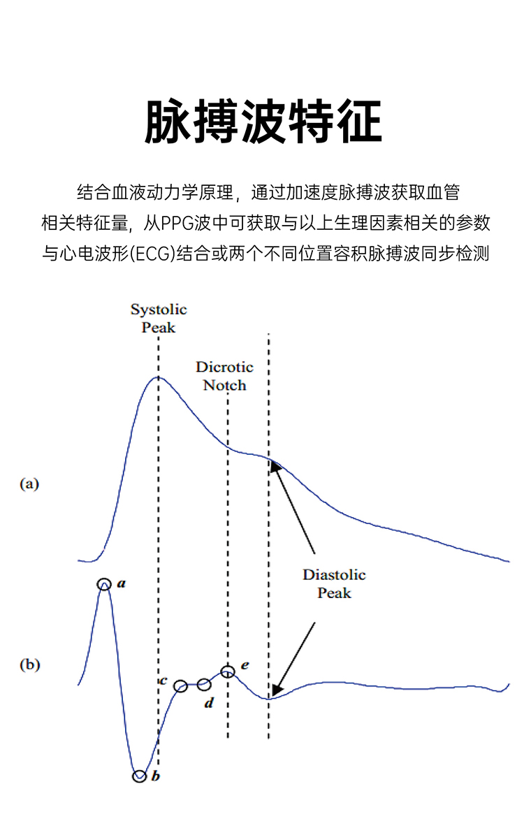 CN_07.jpg