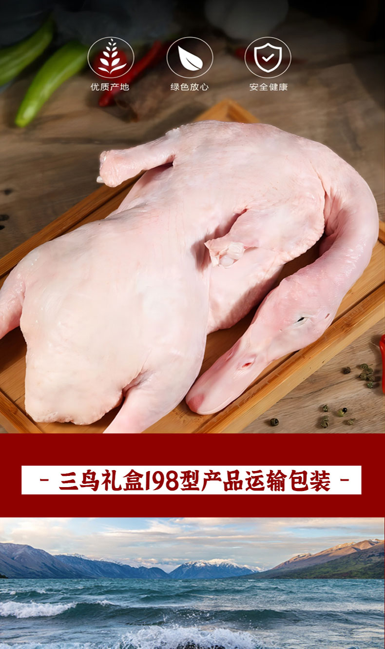 三鸟礼盒198型_04.jpg