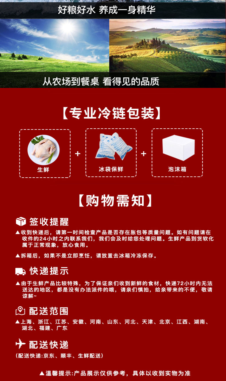 三鸟礼盒198型_05.jpg