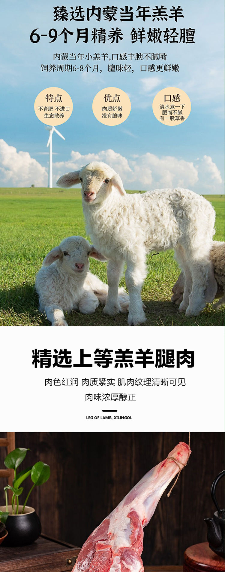 羊肉礼包698型_04.jpg