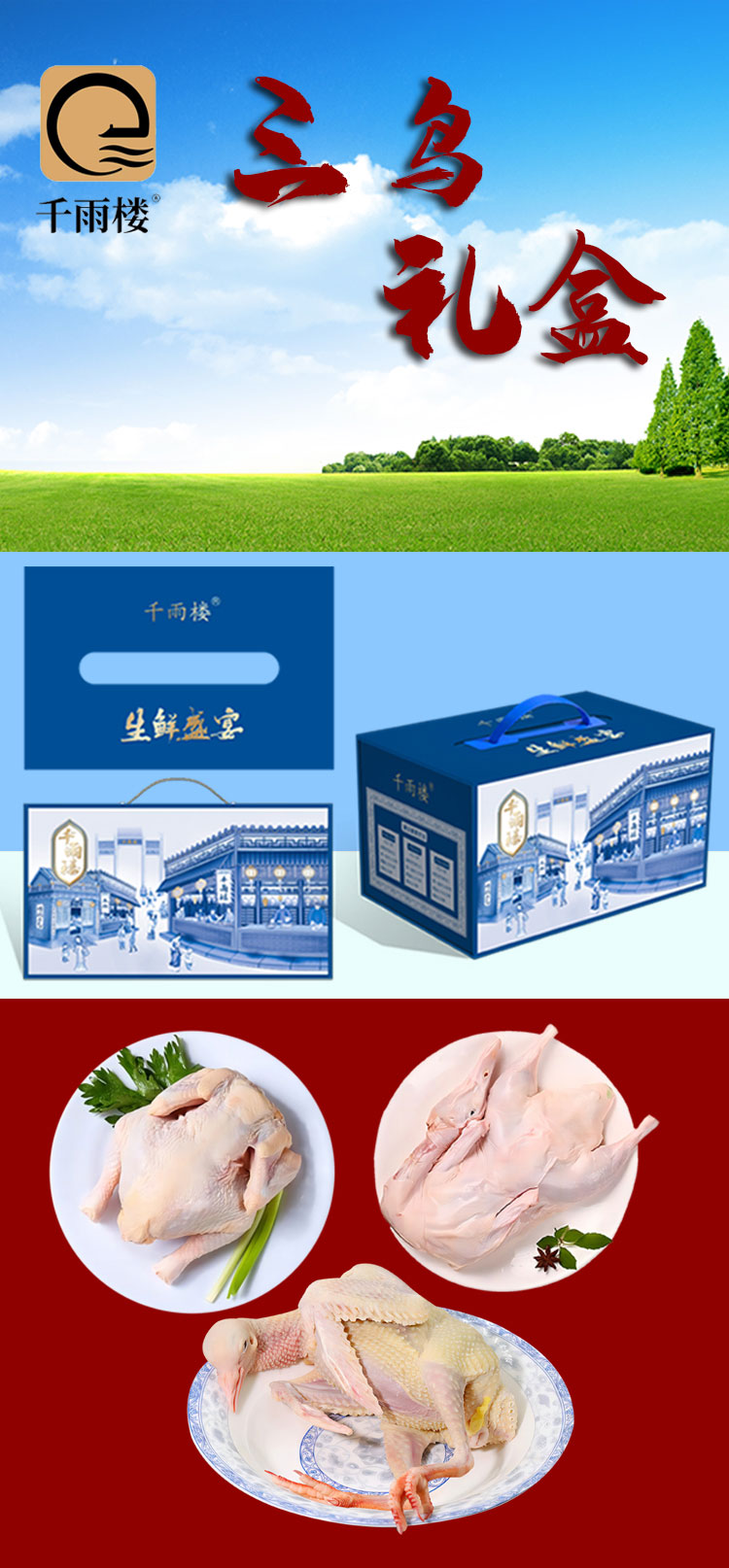 三鸟礼盒498型_01.jpg
