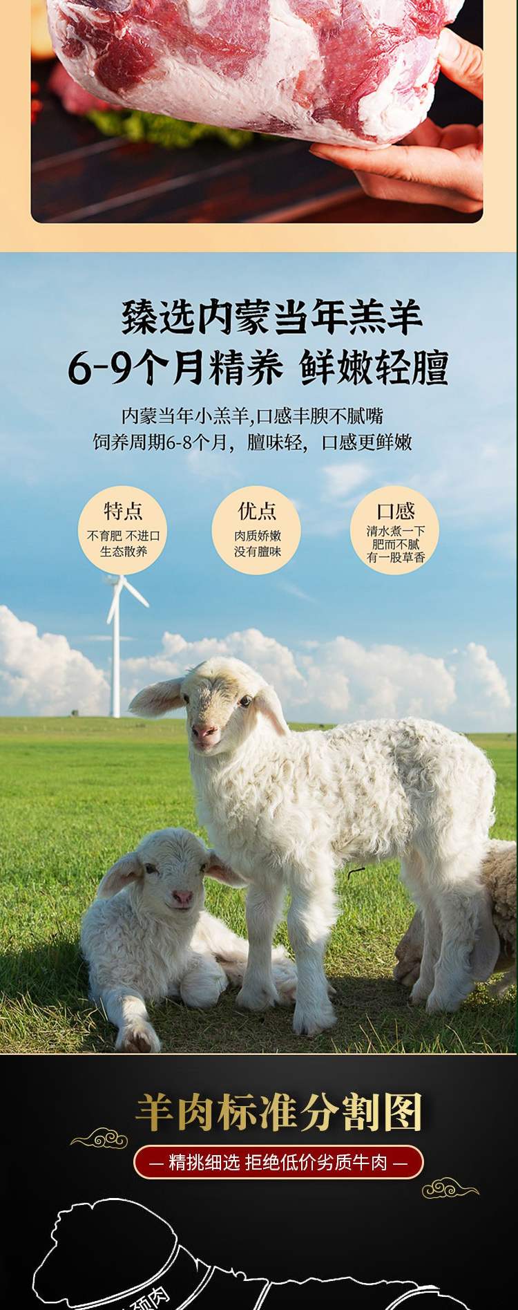 羊肉礼包298型_04.jpg