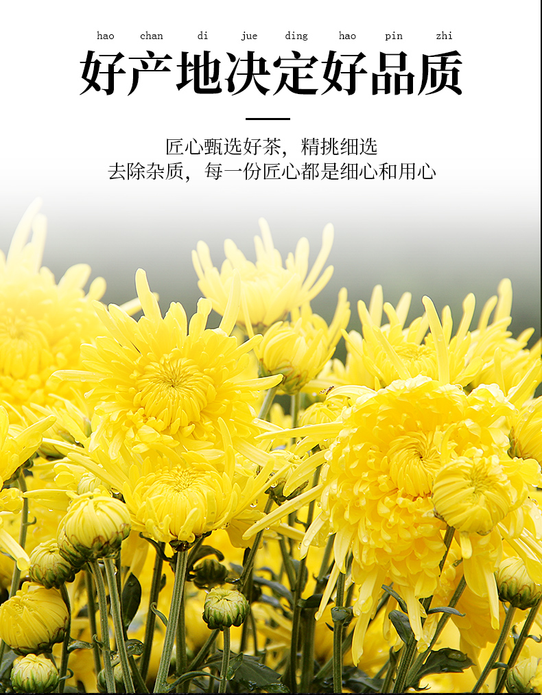 润虎金丝皇菊-黑金版_08.jpg