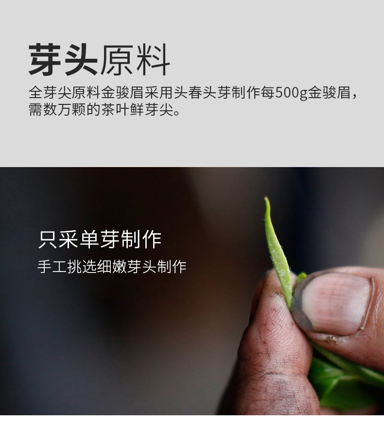02-金骏眉188_02.jpg