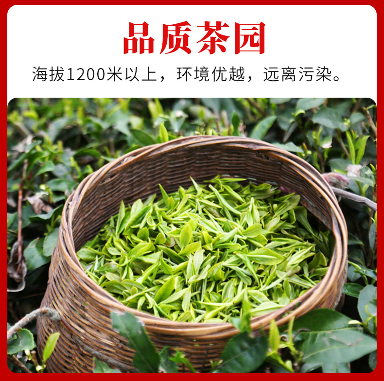 小罐茶金骏眉红--第三版_08.jpg