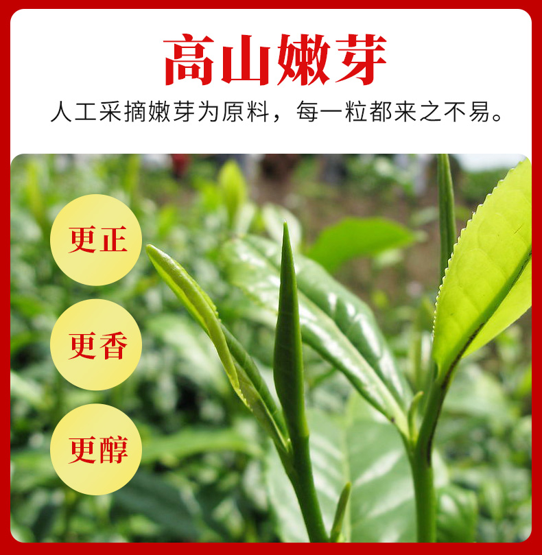 小罐茶金骏眉红--第三版_07.jpg
