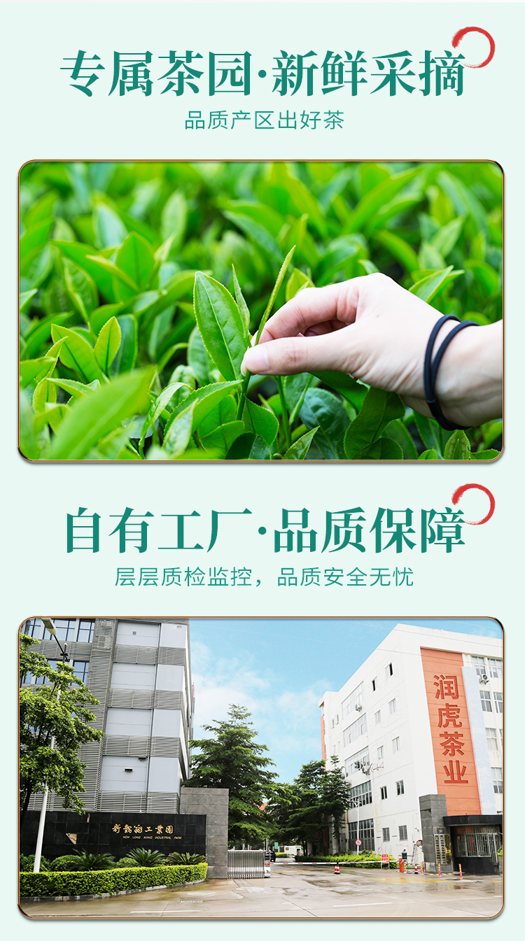 碧螺春-国潮风_13.jpg