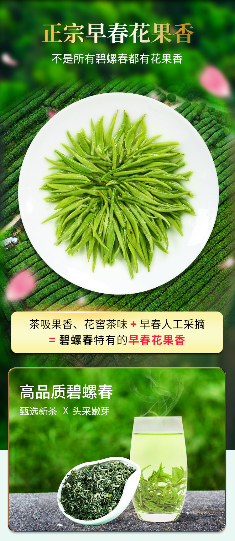 碧螺春-国潮风_10.jpg