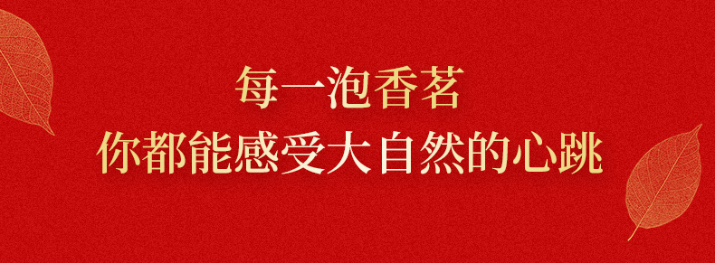 小罐茶浓香铁观音2_15.jpg