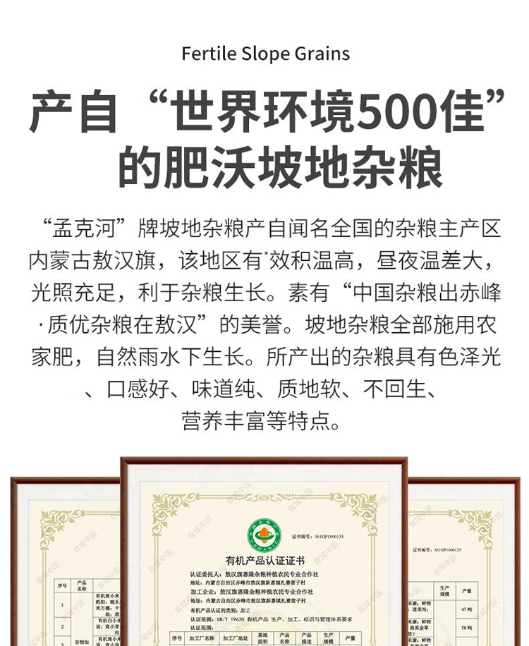详情-05.jpg
