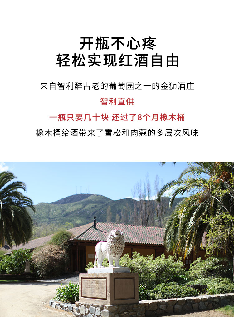 京东-黑皮诺_05.jpg