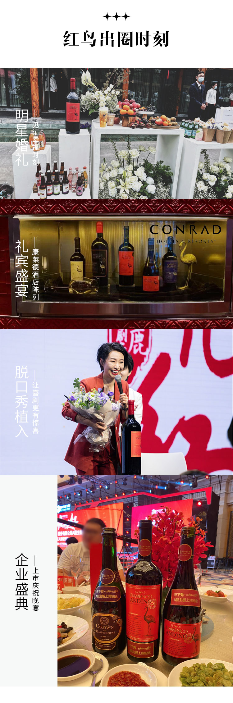 京东-黑皮诺_10.jpg