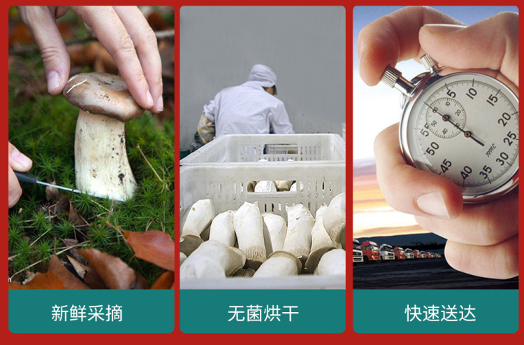 山珍悦彩详情_13.jpg